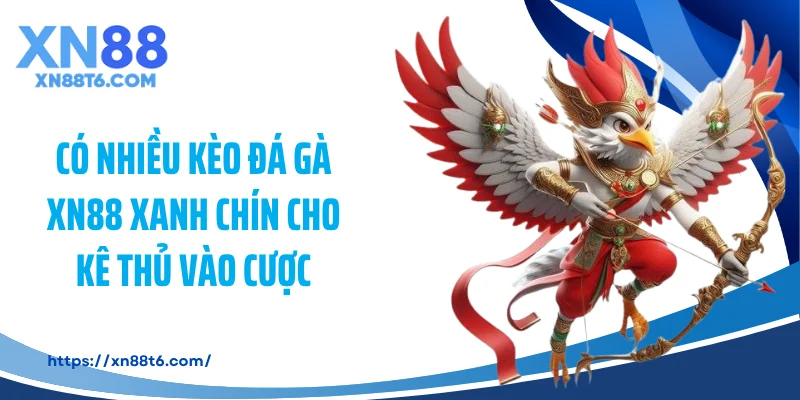 Có nhiều kèo đá gà XN88 xanh chín cho kê thủ vào cược
